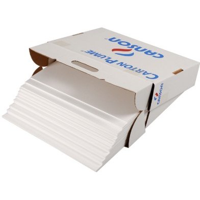 Carton Plume Canson A3 blanc
