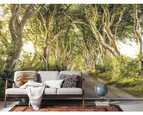 Vliesbehang SH057-VD4 Stefan Hefele Ed 1 Golden Hedges 4-delige set 400 x 250 cm