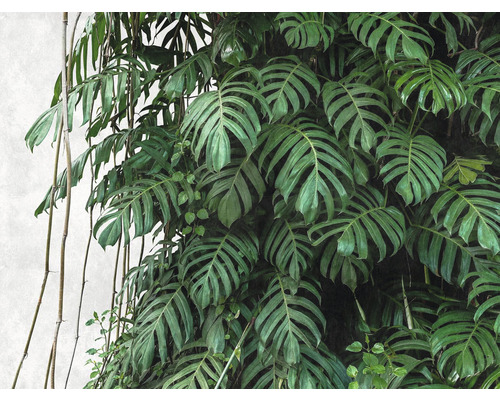 Vliesbehang 38241-1 The Wall Monstera 3D 7-delige set 371 x 280 cm