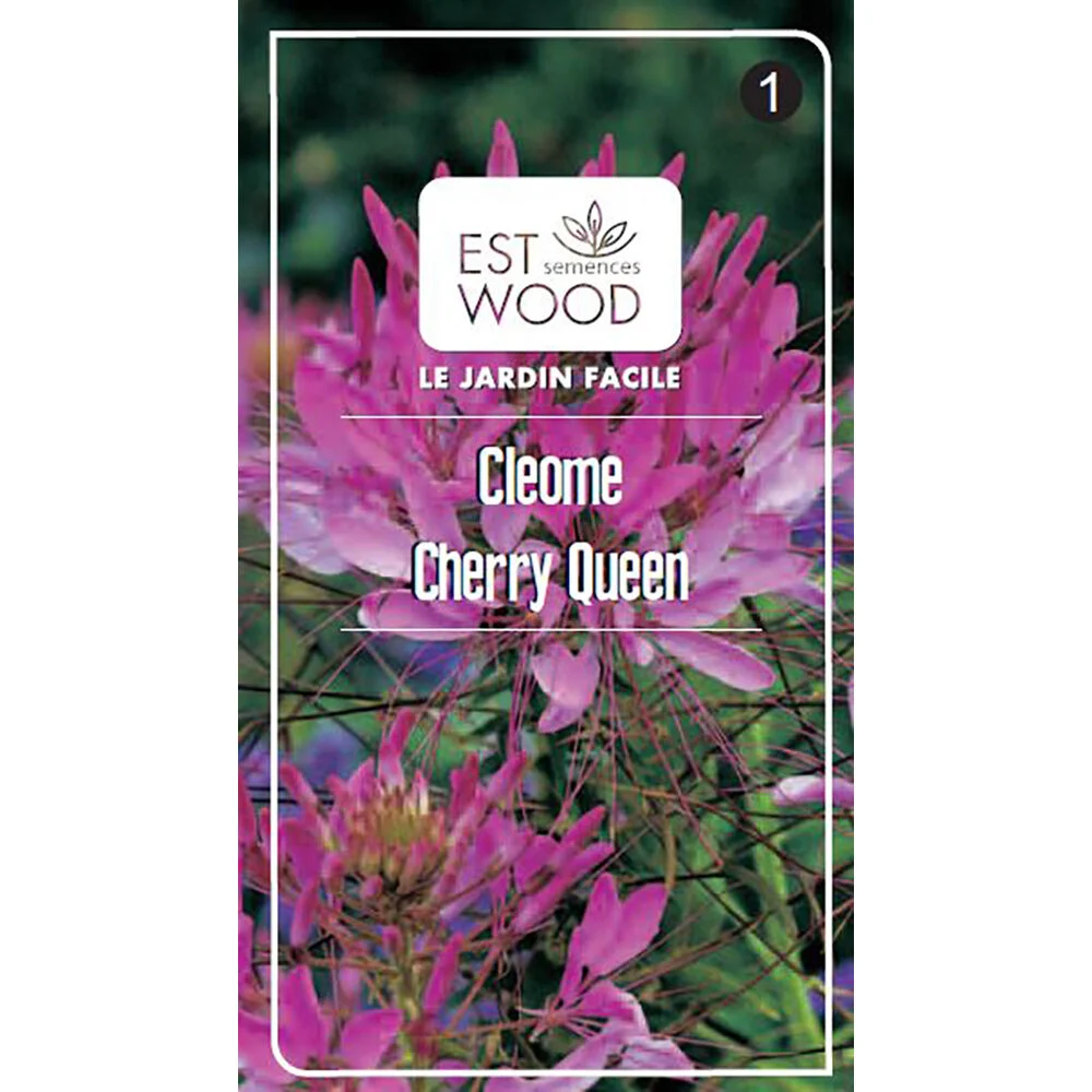 Semence Cléome Cherry Queen 0,4g