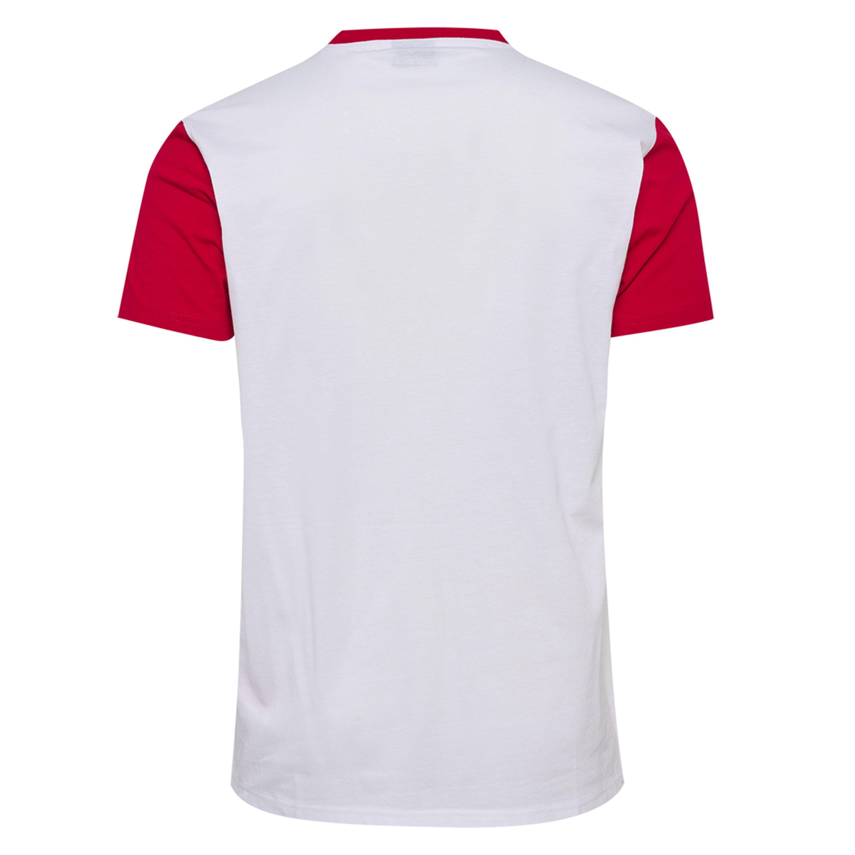 Hummel Denmark Fan T Shirt 2024 Adults