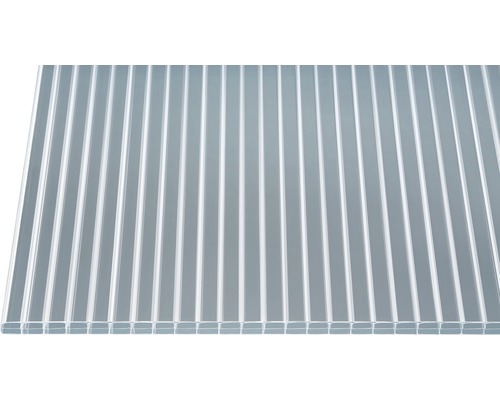 Gutta Polycarbonaat Holle Kamerplaat Helder 2000 mm x 980 mm x 16 mm