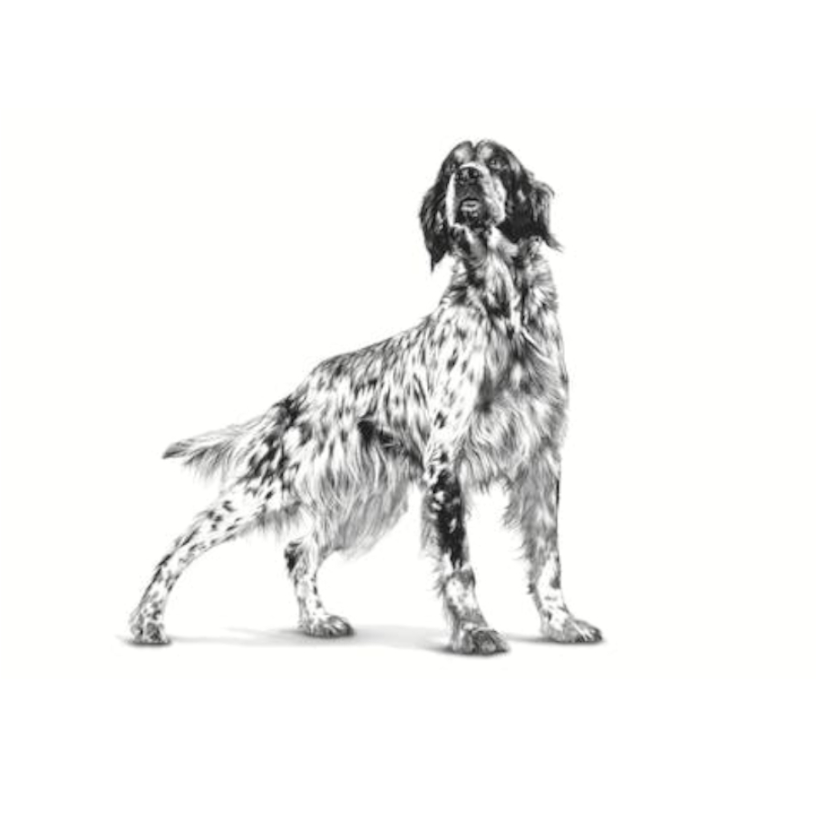 Ração úmida Royal Canin Veterinary Sensitivity Control com pato e arroz para cães