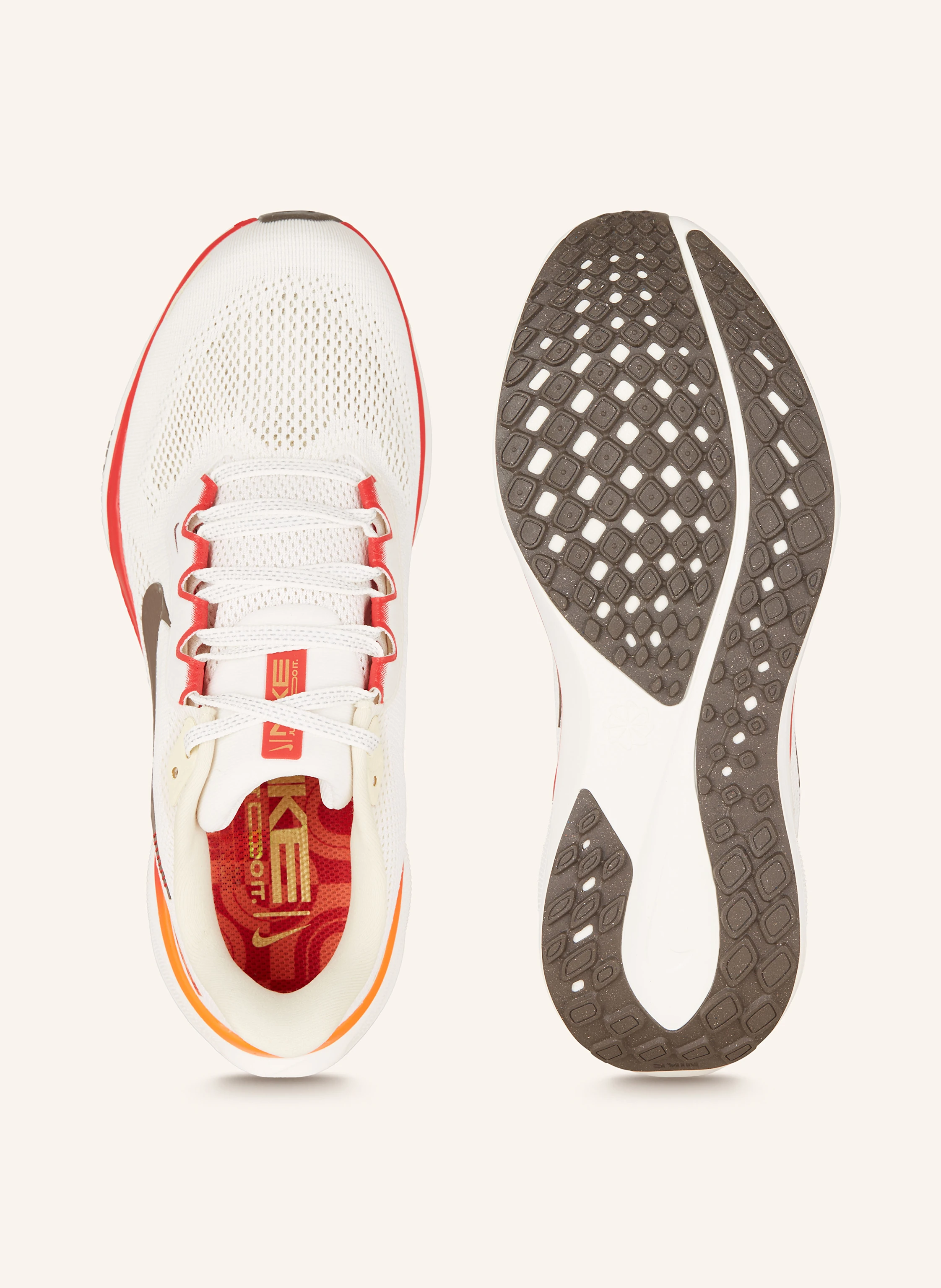 Nike Laufschuhe PEGASUS 41