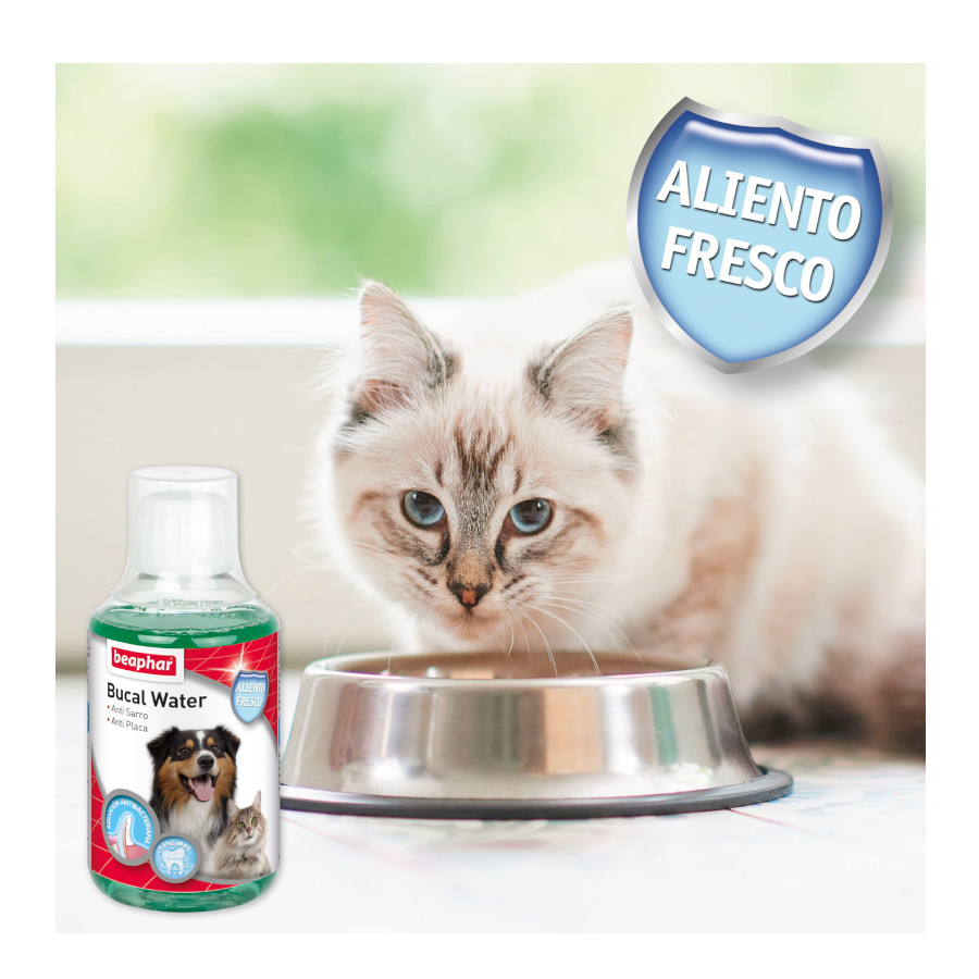 Enxaguante bucal Beaphar para cães e gatos