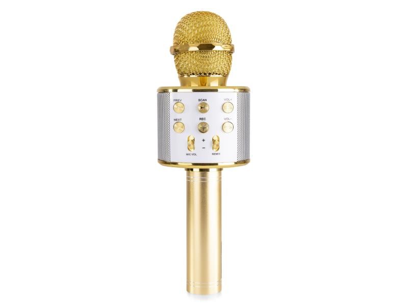 MAX Mikrofon KM01G Gold Karaoke Mikrofon mit eingebautem Lautsprecher