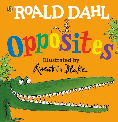 Roald Dahl's Opposites: (Lift-the-Flap) (Board book)