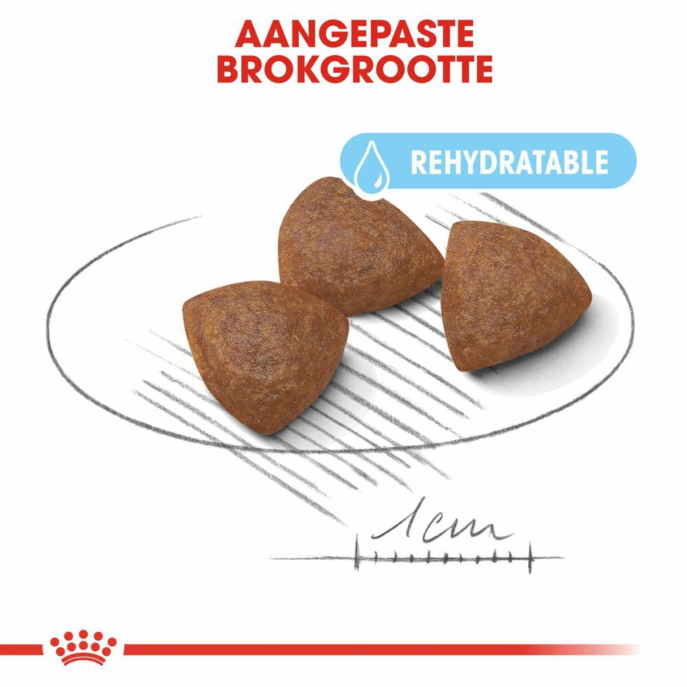 Royal Canin SHN Medium Start Babydog - Hondenvoer - 15 Kilogram - gevogelte