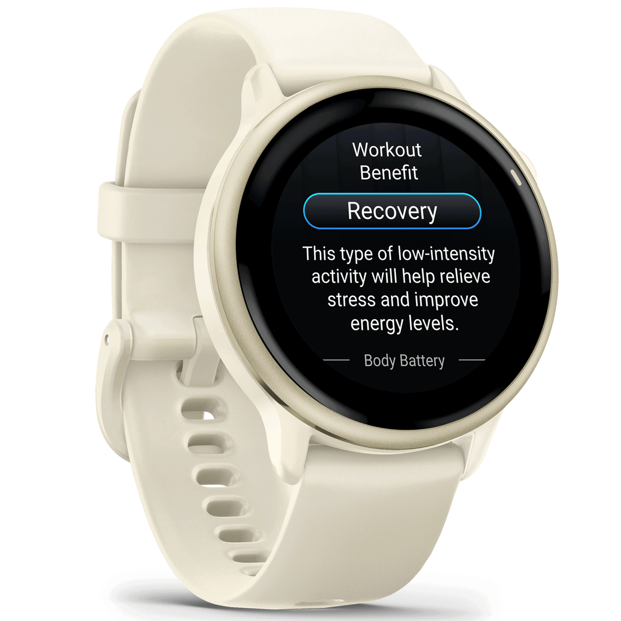 Garmin<br>vivoactive 6