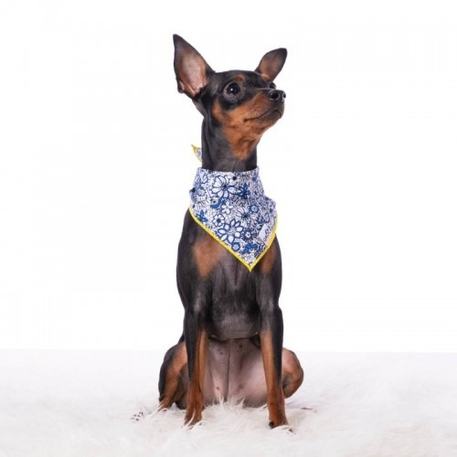 Bandana azul com estampa floral para cachorro