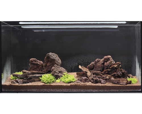 Aquarium waterplantenpakket L 