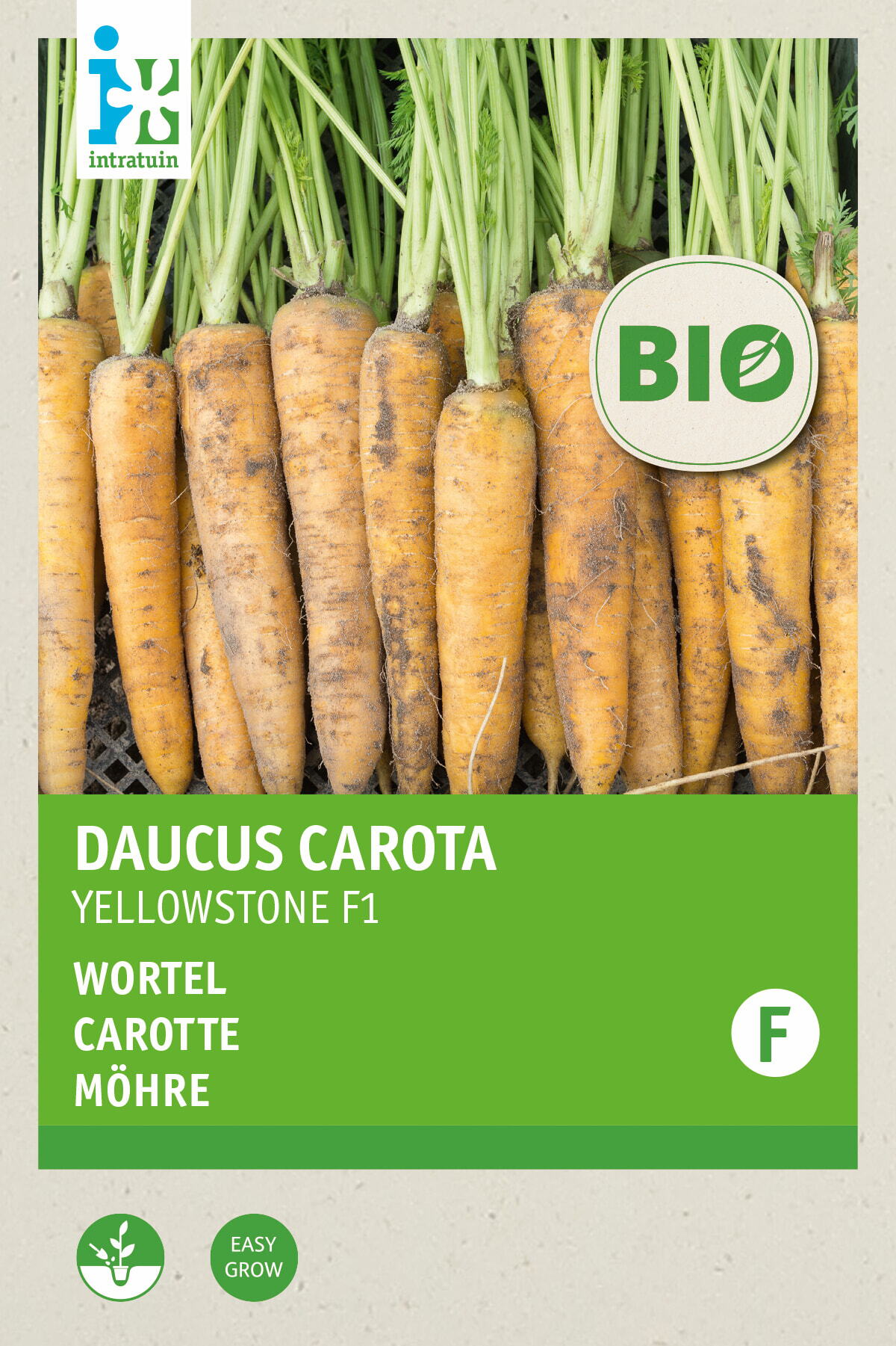 Intratuin Biologisch groentezaad Wortel (Daucus carota 'Yellowstone')