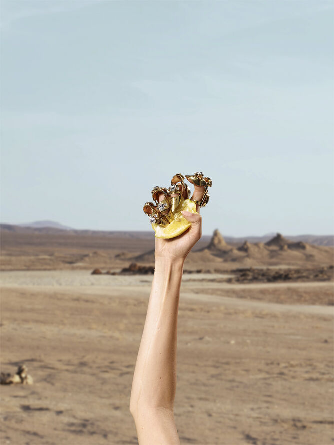 Dolce & Gabbana Q By Dolce & Gabbana Eau de Parfum