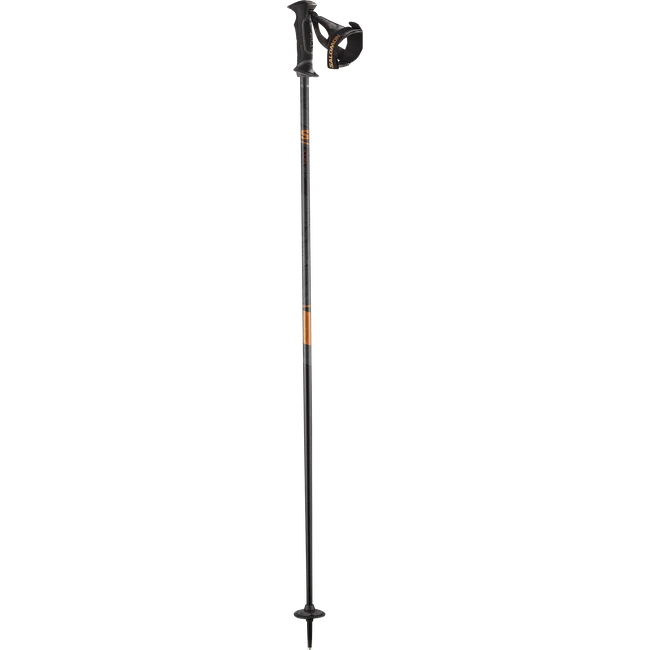 ICON ERGO S3  Alpin-Skistöcke Damen Black