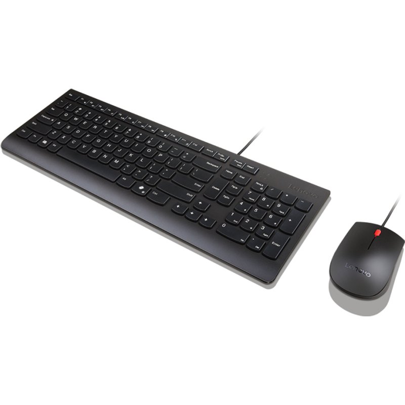 Lenovo Essential Wired Combo Black US Euro clavier Souris incluse Universel USB Noir