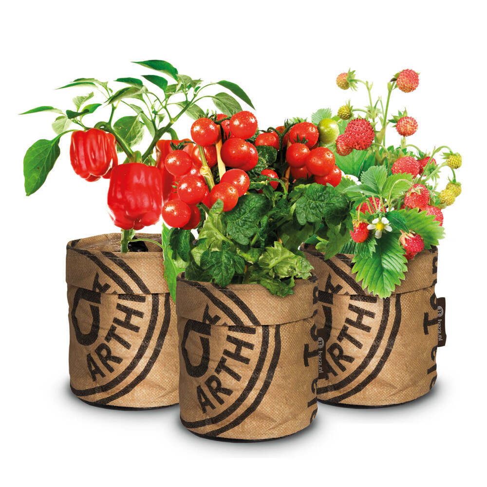 Baza Keukentuintjes Set Kruiden Groot1 set