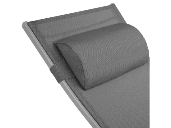 Lot de 2 transats grise 158 x 59 x 81.5 cm 2208196