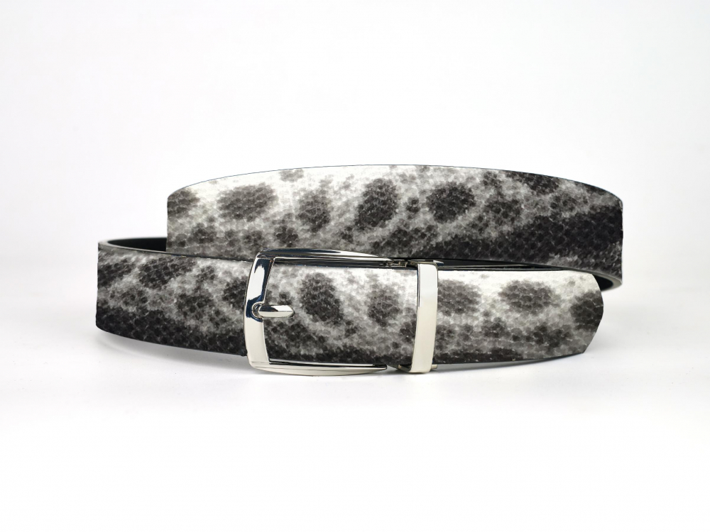 Snow Leopard (Riem)