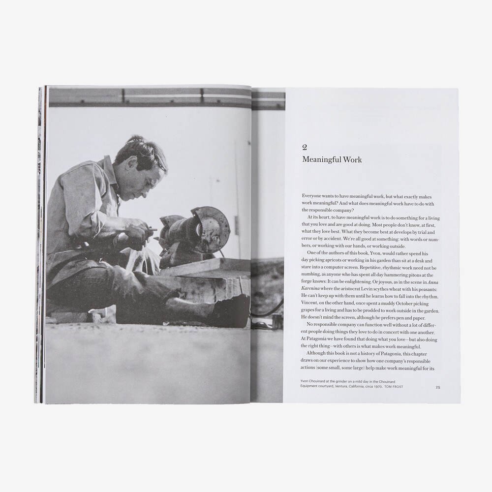Die Zukunft des verantwortungsvollen Unternehmens: Was wir aus den ersten 50 Jahren von Patagonia gelernt haben (von Yvon Chouinard & Vincent Stanley)