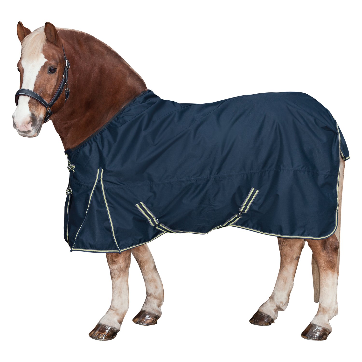 Horse-friends Outdoordecke XL - navy