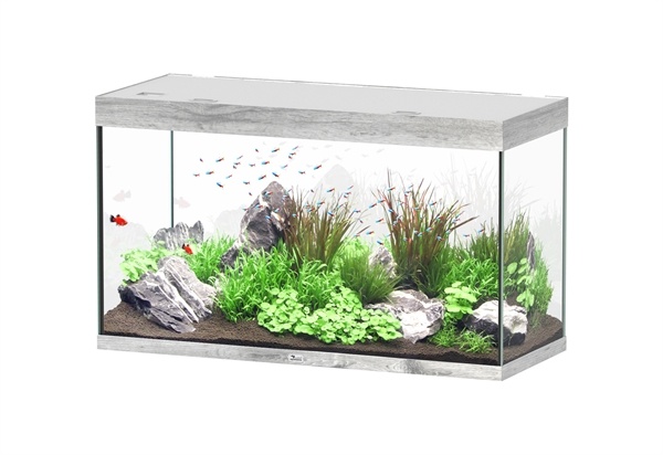 Aquatlantis Sublime 120x50 aquarium | Gloednieuw