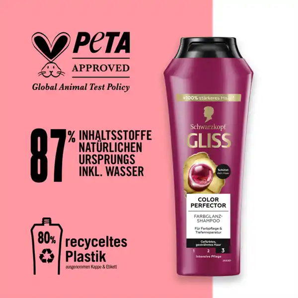 Color Perfector Shampoo
