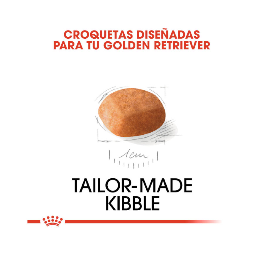 Ração Royal Canin para filhotes de Golden Retriever