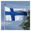 Finsk flagg