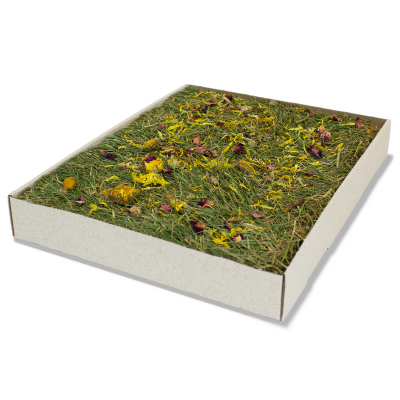 JR ESN Kräuterwiese mit Blüten 750g