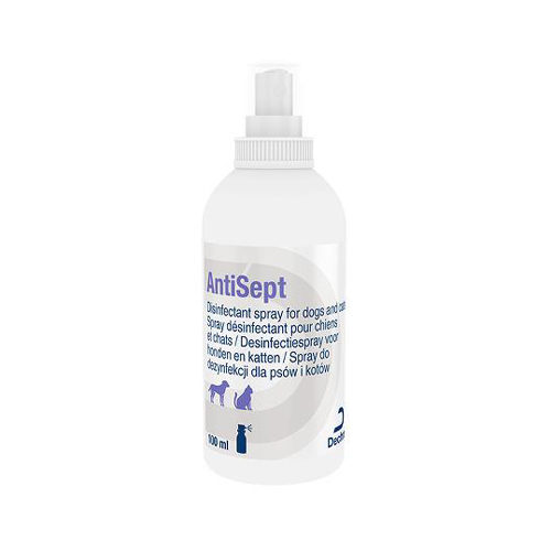 AntiSept Desinfectiespray
