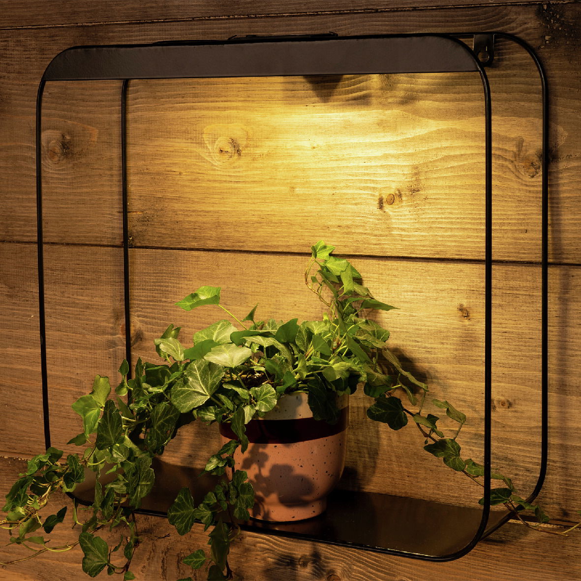 Lumineo Solar Regalbrett