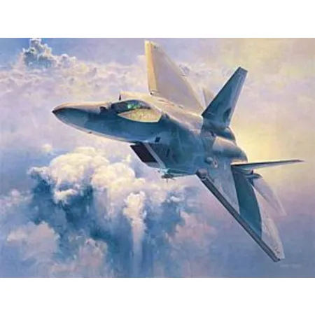 Hasegawa 1/48 F22 Raptor