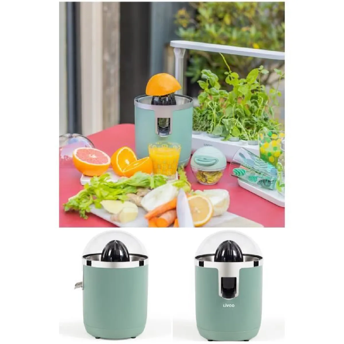 Livoo Presse-agrumes électrique - Vert pastel - 70W