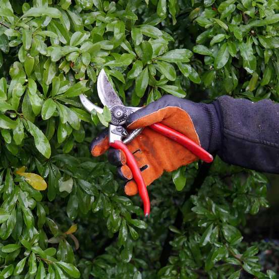 Gants de Protection Coupure Gros Travaux T9