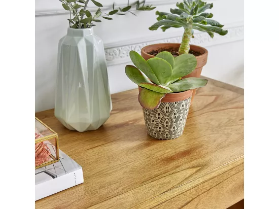 Console en mindi massif 120 cm