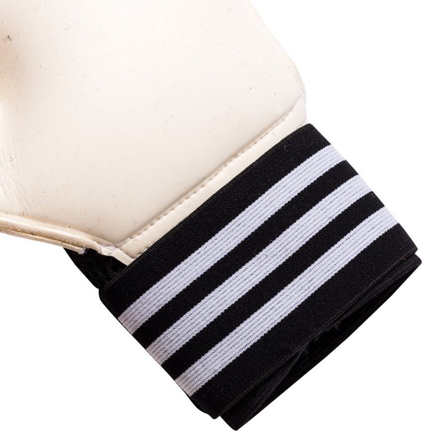 adidas Gants de Gardien Tiro Pro - Noir/Blanc/Argenté