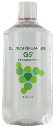 Bioticas Silicium Organique G5 Sans Conservateur Flacon 1000ml