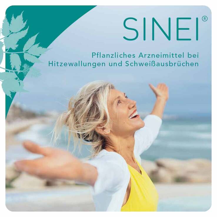 SINEI® Hartkapseln, 60 St