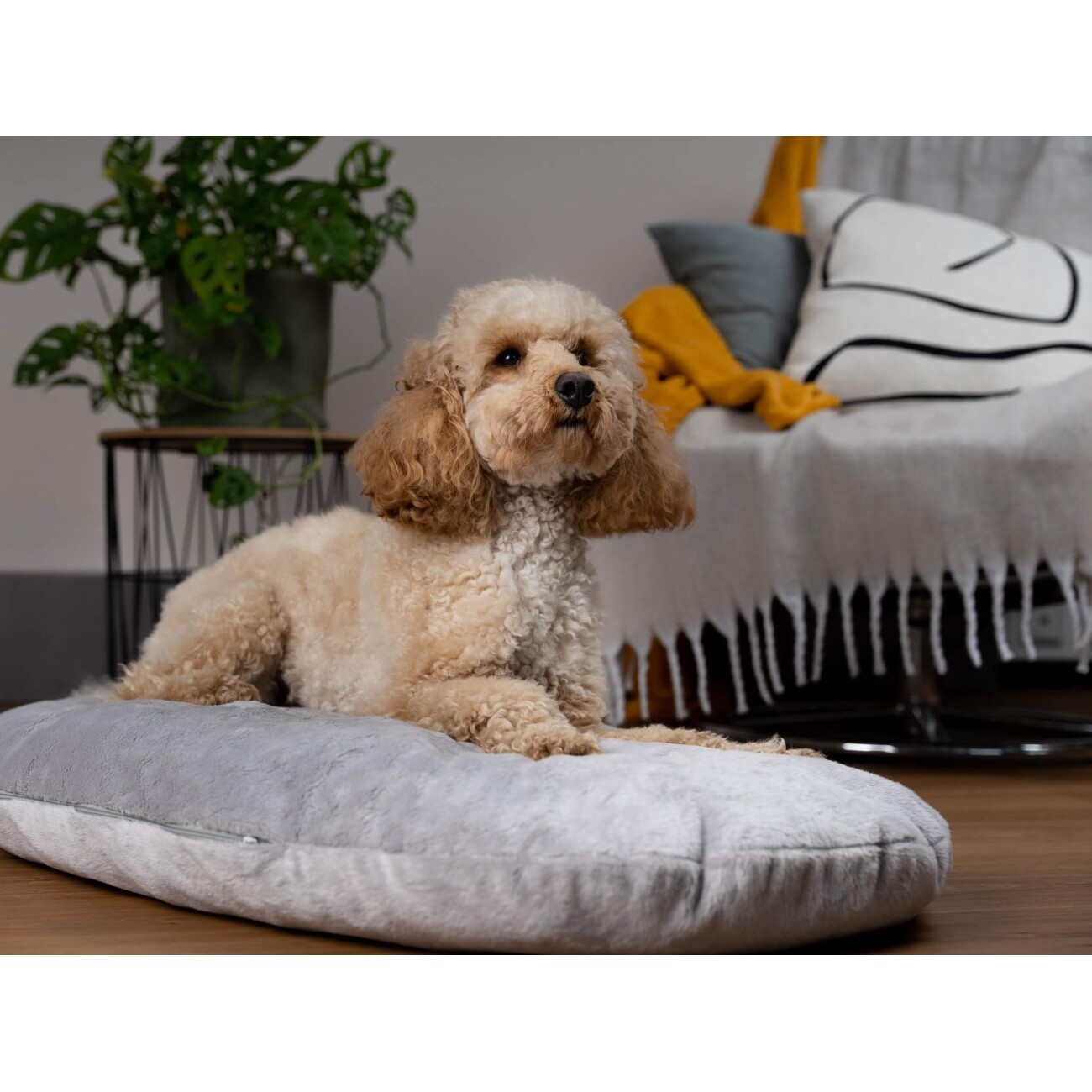 TrendPet Emma Liegekissen grau XL