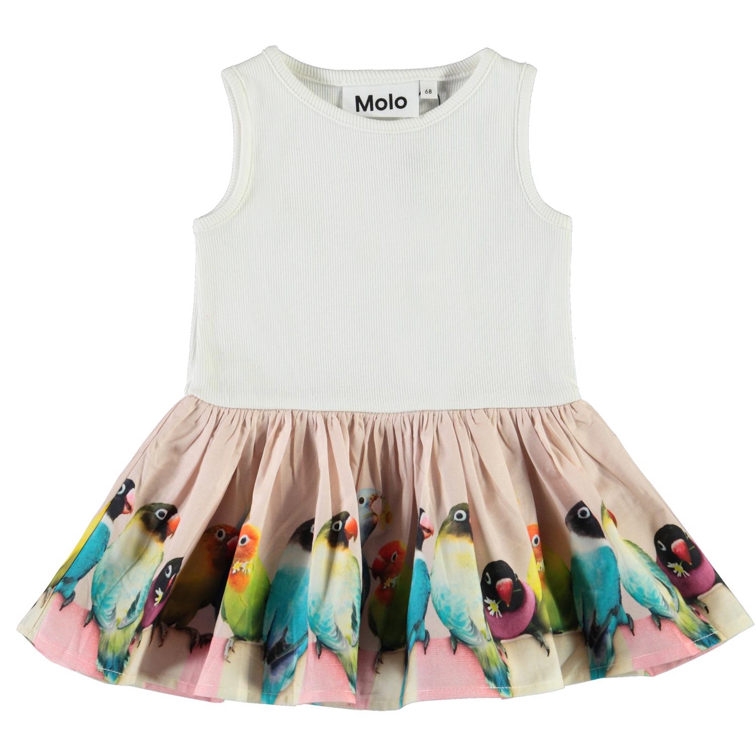 Cordelia - Mini Love Birds