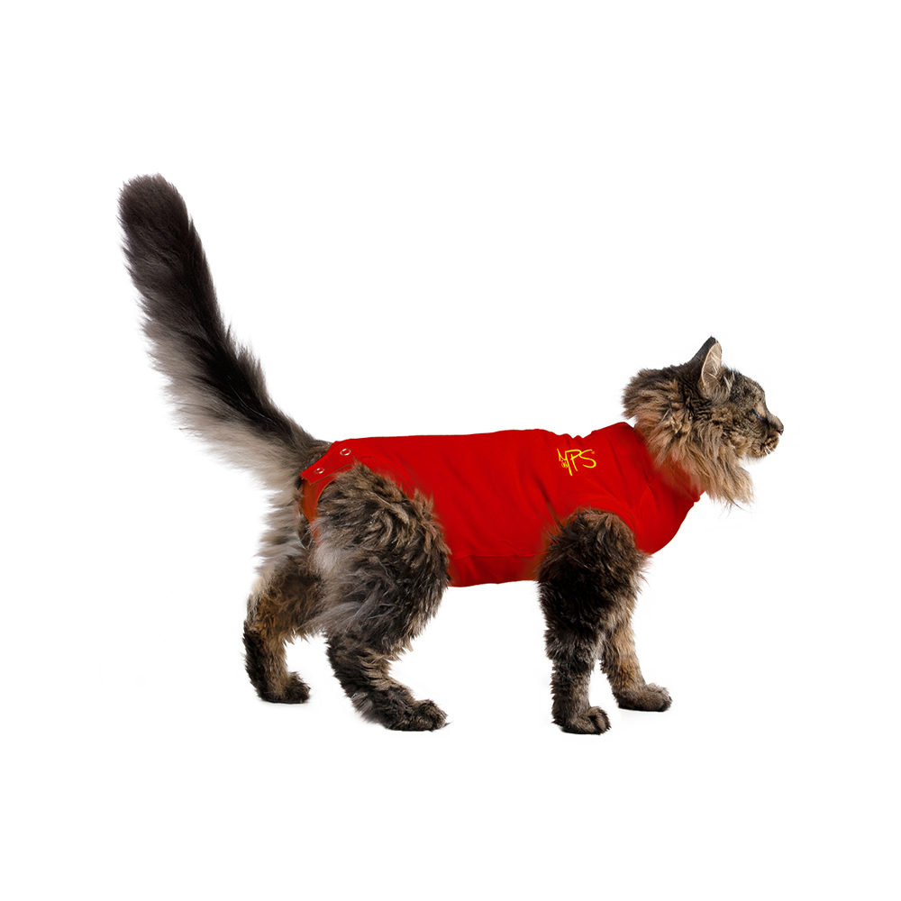 Medical Pet Shirt kat