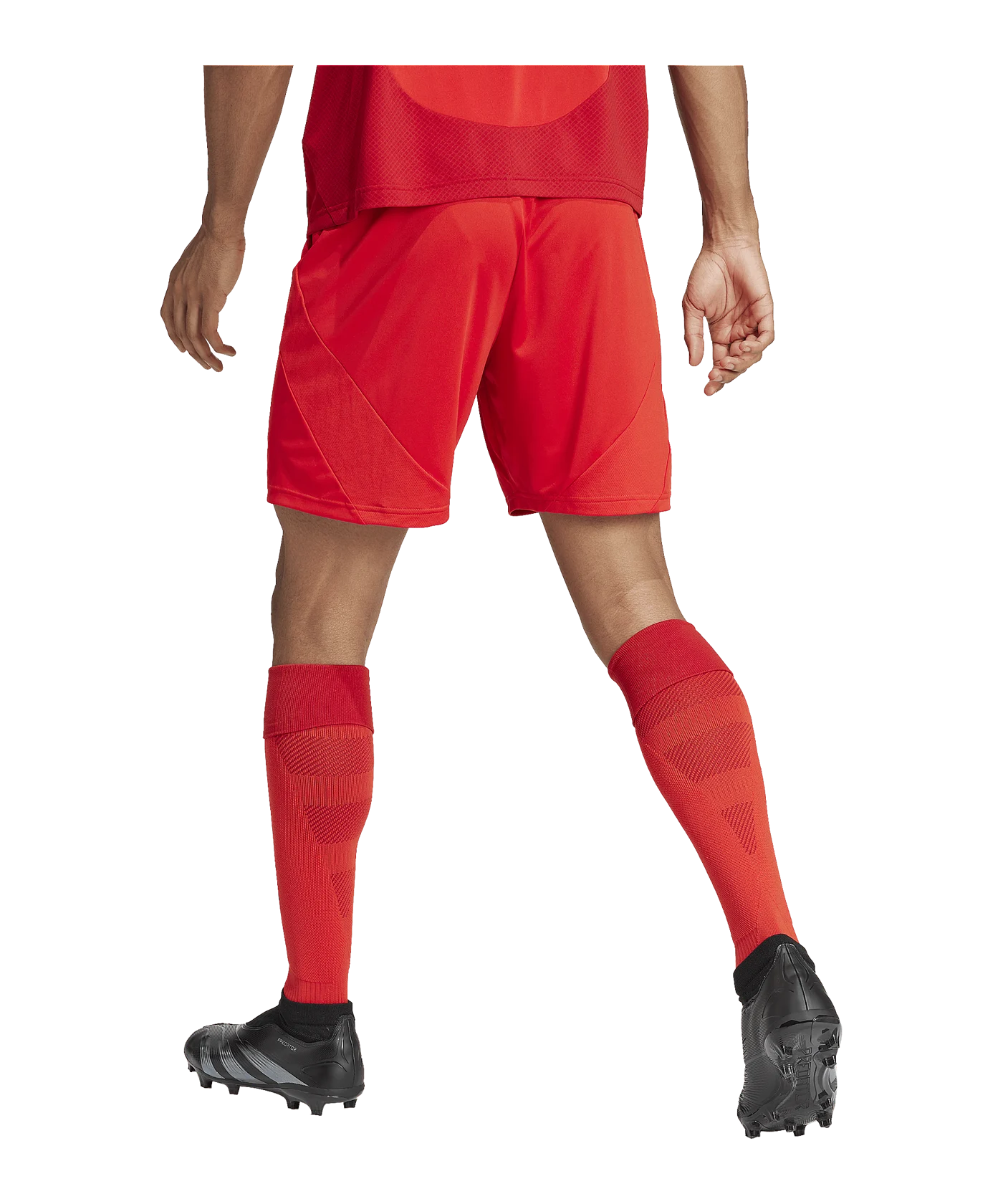 adidas FC Bayern München Short Home 2024/2025 Rot