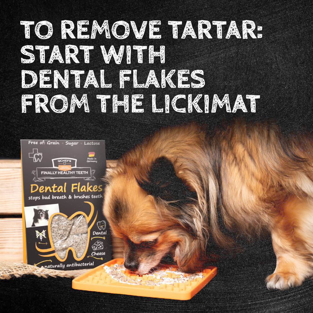 Qchefs Dental Flakes - Honden