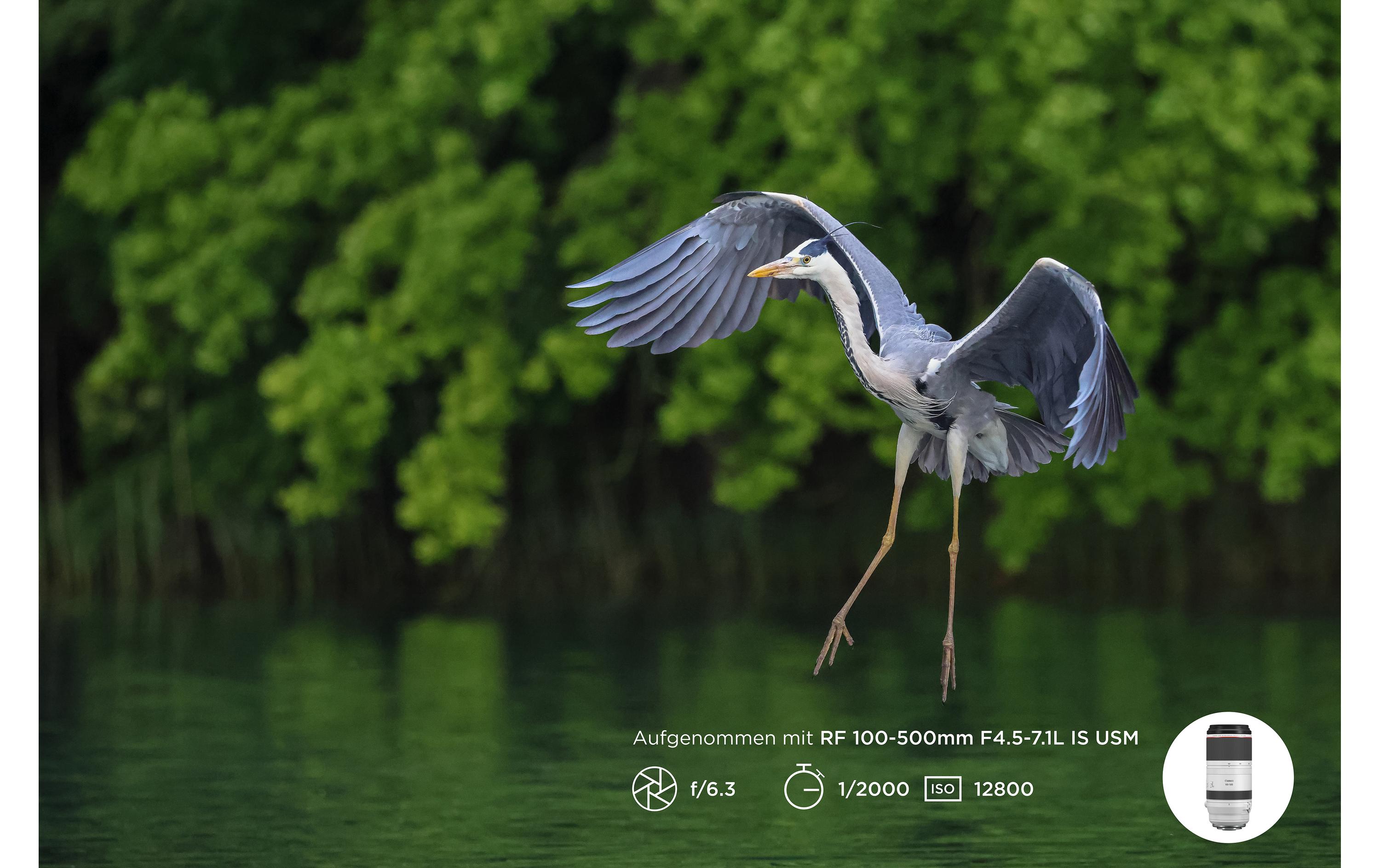 Zoomobjektiv RF 100-500mm F/4.5-7.1L IS USM Canon RF<br>Kompaktes und leichtes Supertele-Objektiv für Sport- und Wildlife-Aufnahmen