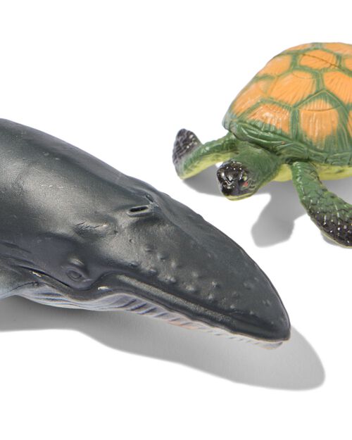 animaux marins