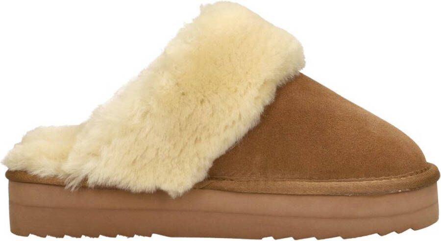 Warmbat Suède Pantoffels voor Wolkenwandeling Brown Dames