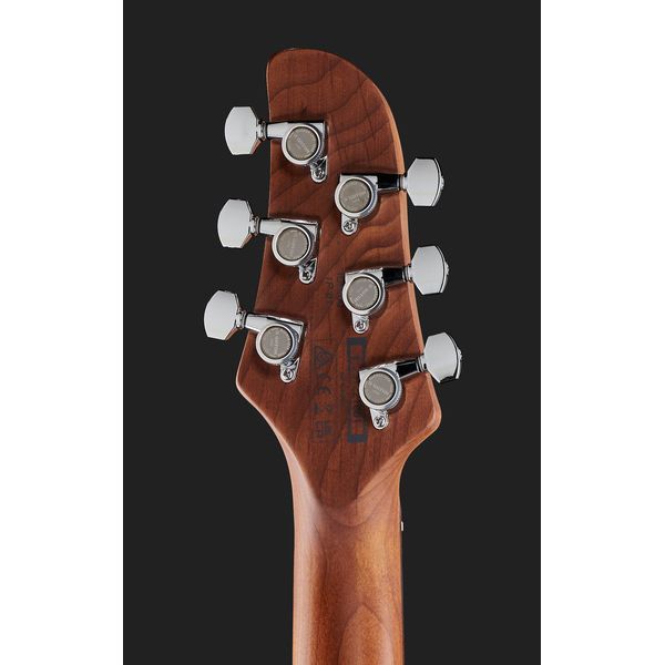 Ibanez ICHI00-VWH