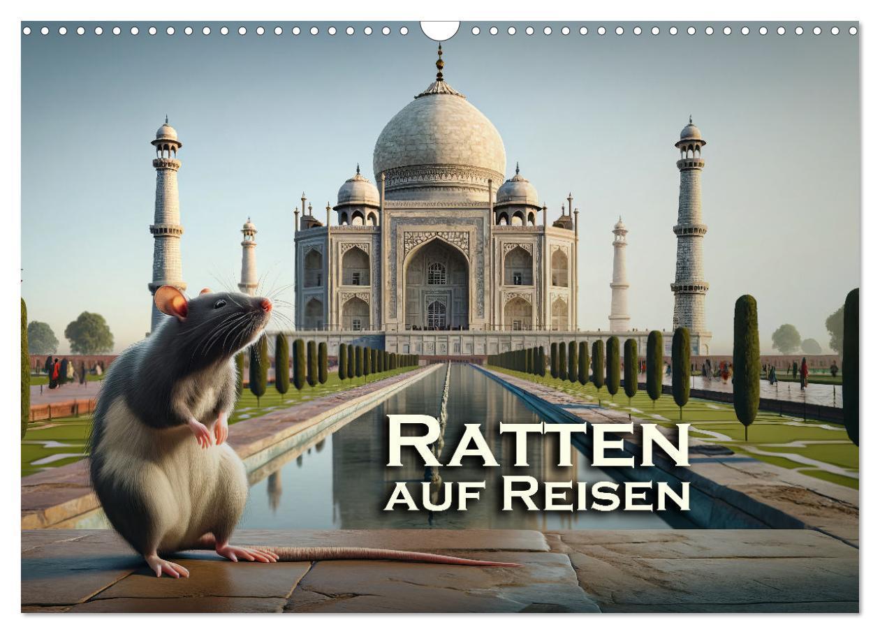 Ratten auf Reisen (Wandkalender 2025 DIN A3 quer), CALVENDO Monatskalender