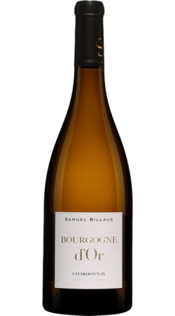 Domaine Samuel Billaud Bourgogne Blanc, Bourgogne d'Or 2021