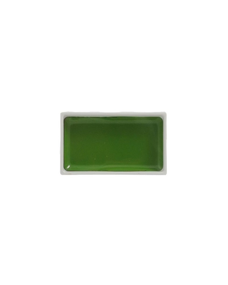 Gansai Vert moyen N°53